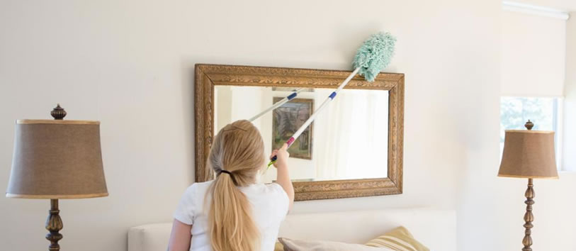 Maids for Hire Texas Cleaning Services in Texas Maid Cost